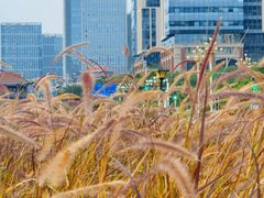 -诚毅广场(地铁站)