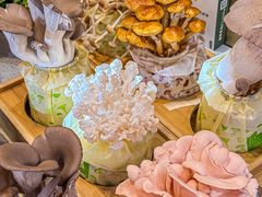 -烹然四季椰子鸡火锅(团结湖总店)