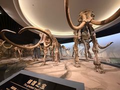 -大庆市博物馆