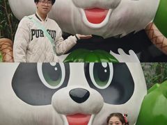 -都江堰中华大熊猫苑