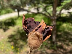 -周口店北京人遗址公园