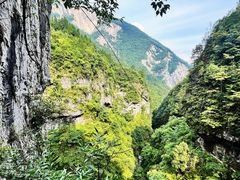 -鹿院坪生态旅游景区