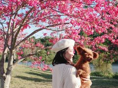 -风云岭森林公园