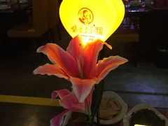 -狼爱上羊音乐火锅