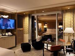 -拉斯维加斯永利酒店