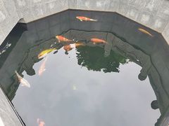 -西安市广仁寺
