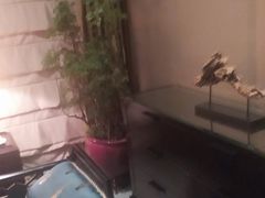 -广州富力丽思卡尔顿酒店·丽轩·粤菜
