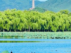 -颐和园