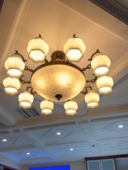 -南京医科大学友谊整形外科医院