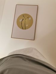 点击看大图 -汉棠汉方·美肤调体