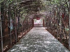 -厦门老院子景区