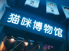 -猫咪博物馆(顶澳仔猫街店)