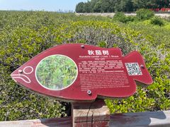 -北海金海湾红树林生态旅游区