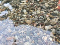 -青城两河漂流