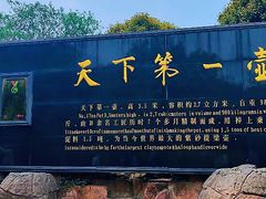 -天目湖山水园