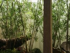 -柯达靓之彩影像网络(明瓦廊店)