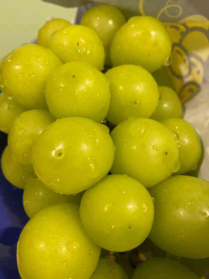 瑟芬妮儿8月31日 15:13打分[薄荷]73境:店面比较小里面的水果比较多