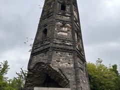 -上海佘山国家森林公园天马山园