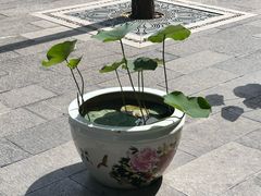 -西安市广仁寺