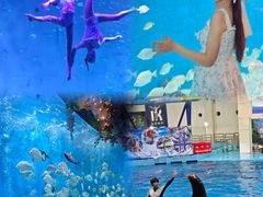 -合肥海洋世界