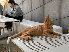 -UNIUNI(凯瑟琳广场店)