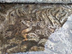 -北京石刻艺术博物馆(五塔寺)
