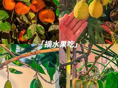 -野芷湖(地铁站)