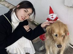 -音乐广场