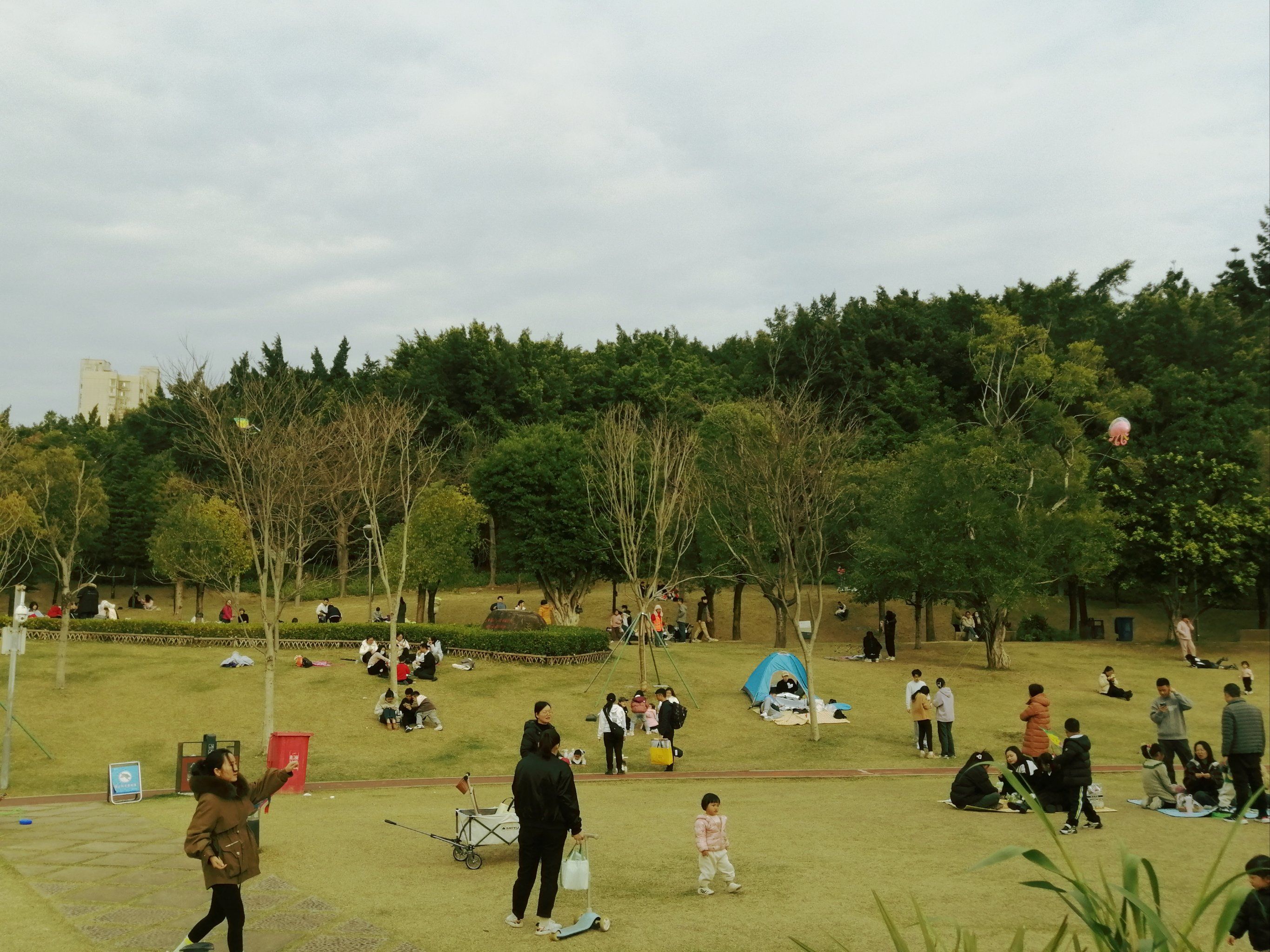 公园治愈瞬间|福州牛岗山公园