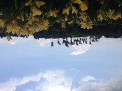 iphone_upload_pic-广州花之恋城堡酒店