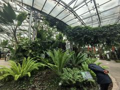 -北京植物园-展览温室