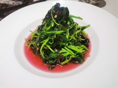 蒜蓉炒苋菜-钱塘花园·宁波菜