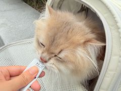 -上海无线电博物馆