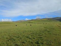 -青海湖国家重点风景名胜区
