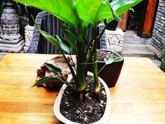 -鱼桥巷·美学川菜