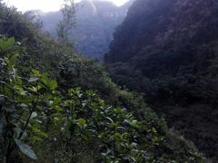 -广东大峡谷
