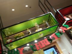 -TOUCH泰奇(奉贤宝龙城市广场店)