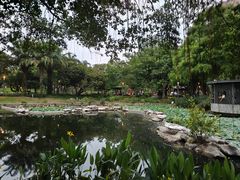 -四海公园(南山区)