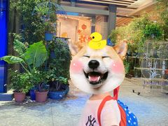 -若蘭慈·无国界素食料理(欢乐海岸店)