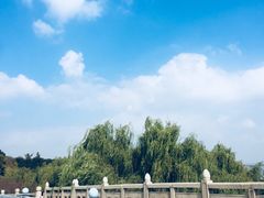 -阳澄湖半岛旅游度假区