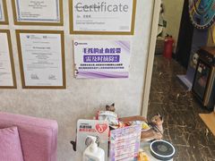 -宠爱国际动物医院·疑难骨科·心肾内科·皮肤科(太阳宫店)