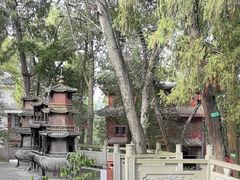 -子昂故里文化旅游区