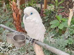 -南宫五洲植物乐园