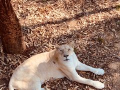 -泉州海丝野生动物世界