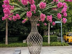 -杭州城北体育公园