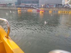 -星海水上乐园(星海广场圣亚店)