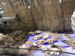-瑞德姆美人鱼海底演艺主题餐厅(亚龙湾店)