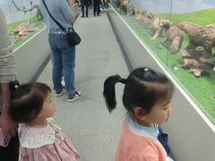 -宝岩生态观光园