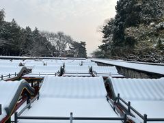 -颐和园