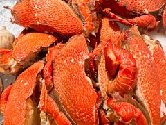 -广州万富希尔顿酒店-感趣自助餐厅·生蚝海鲜刺身